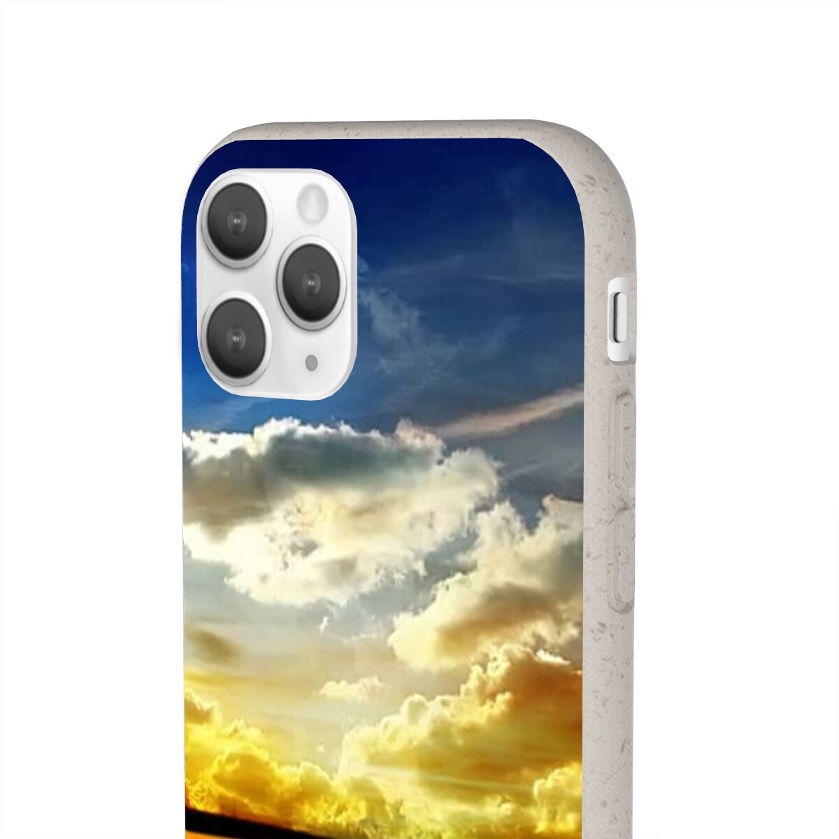 Beautiful Scenic Sunflower Flo - Phone Cases Biodegradable 评论和价格